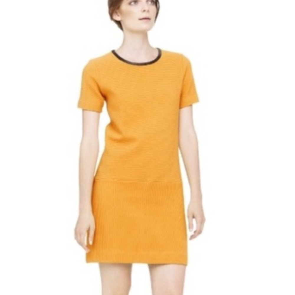 Club Monaco Knit Macie Dress